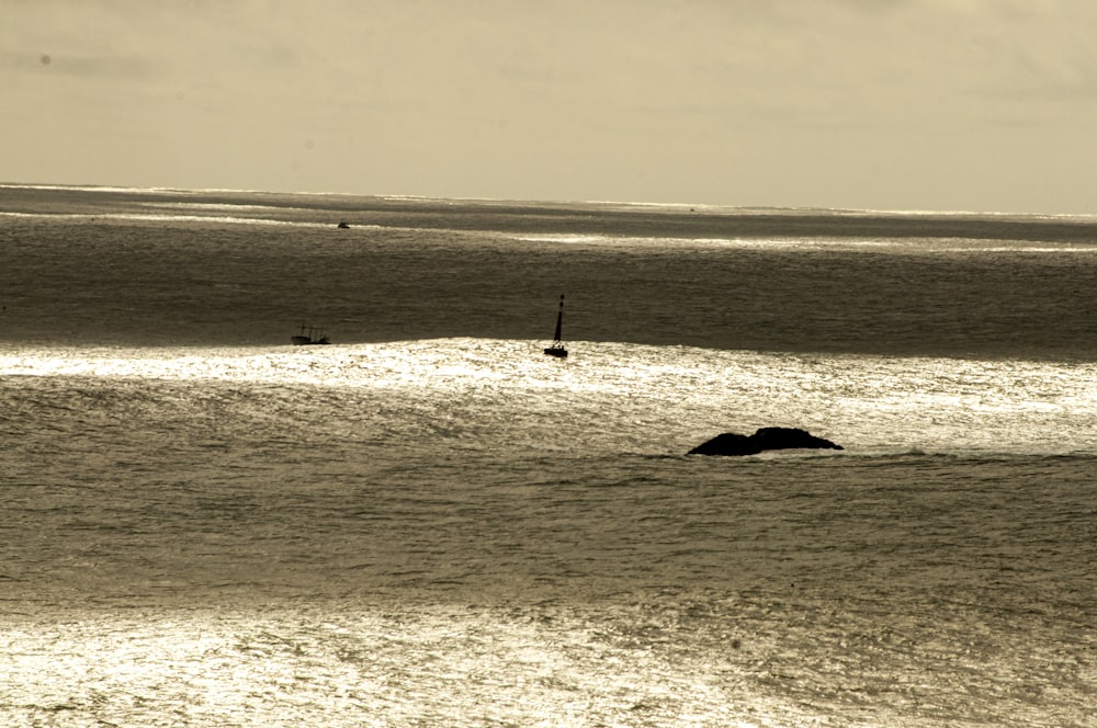 person standing on beach shore during daytime