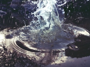 AquaFlow Water Bowl