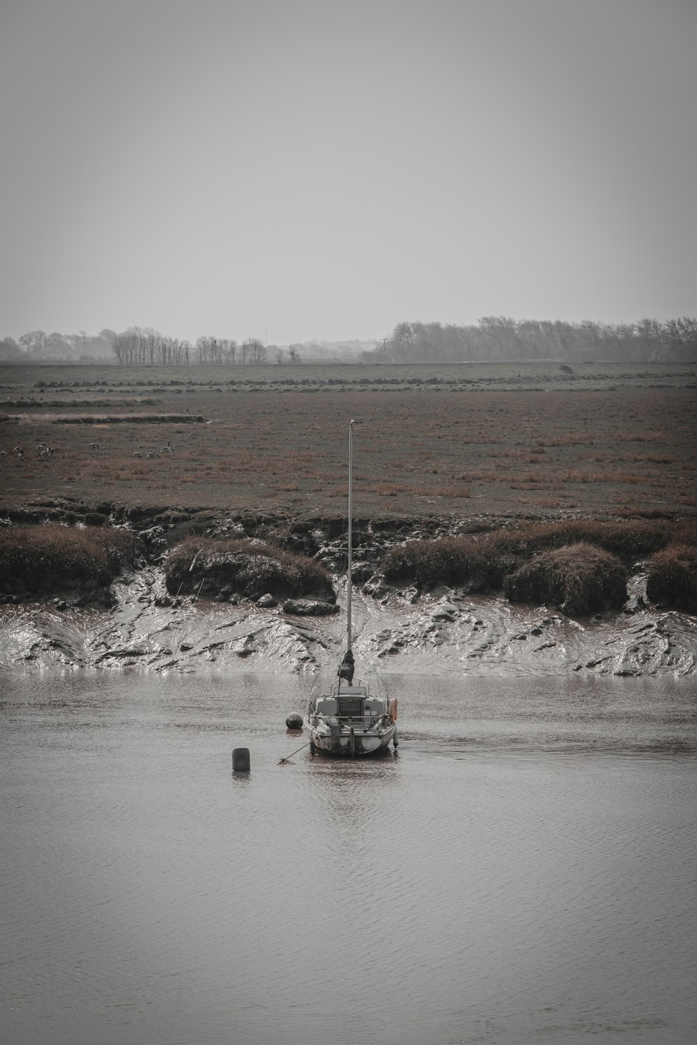 boat on water near brown field during daytime