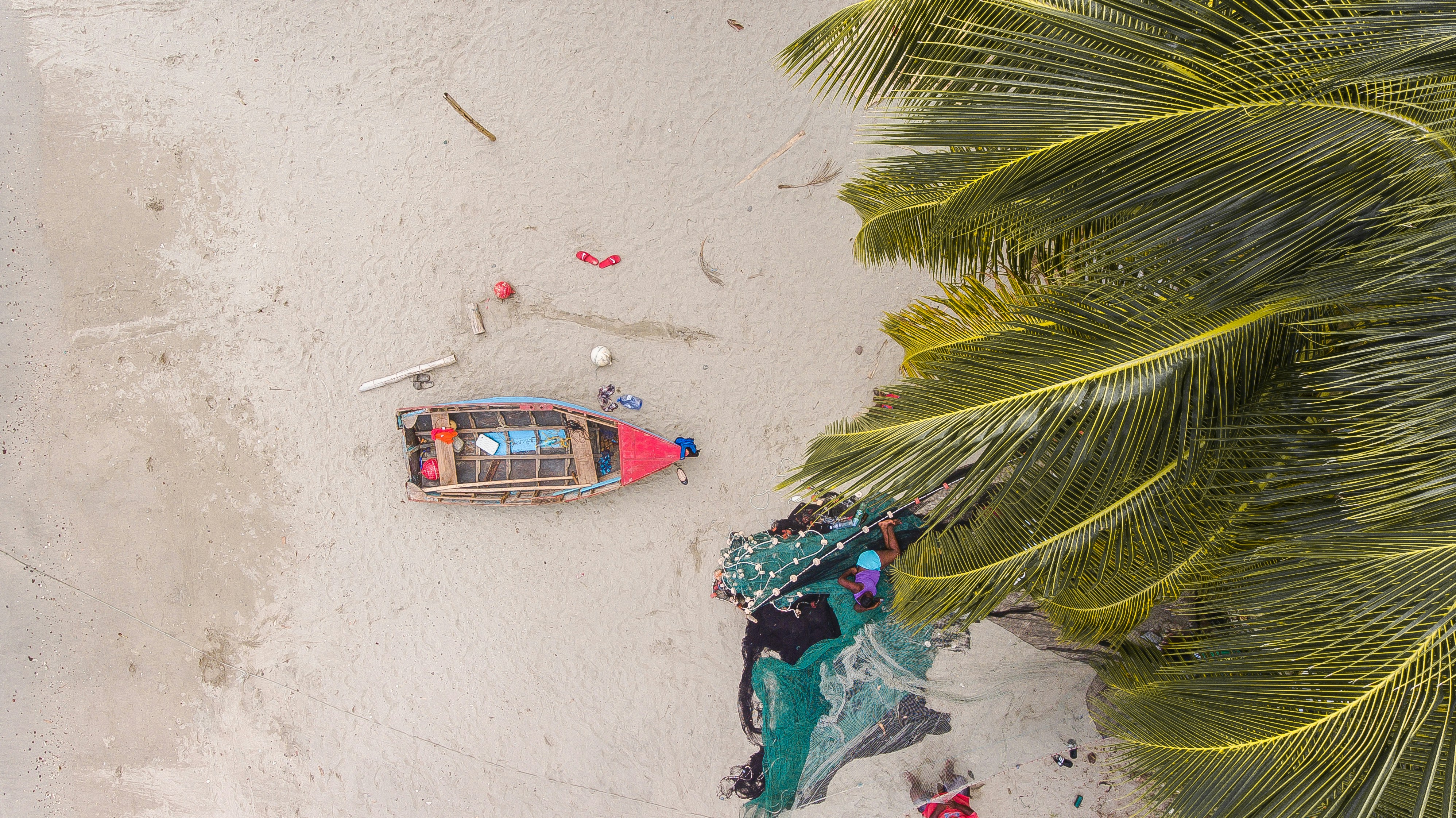 Inside Look: Rob Hopkins' Unexpected Urban Sustainability Insights