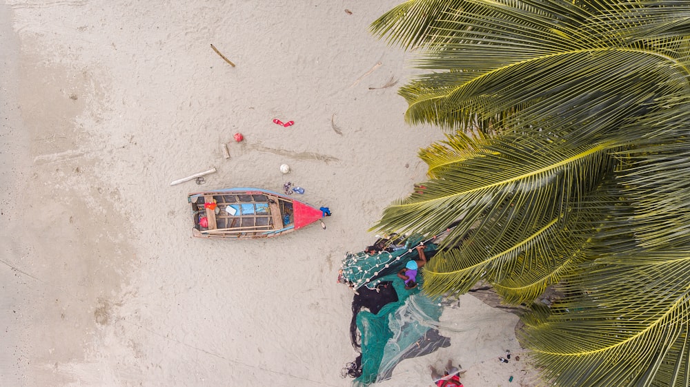 Palmera verde cerca de barco blanco y marrón en la playa durante el día