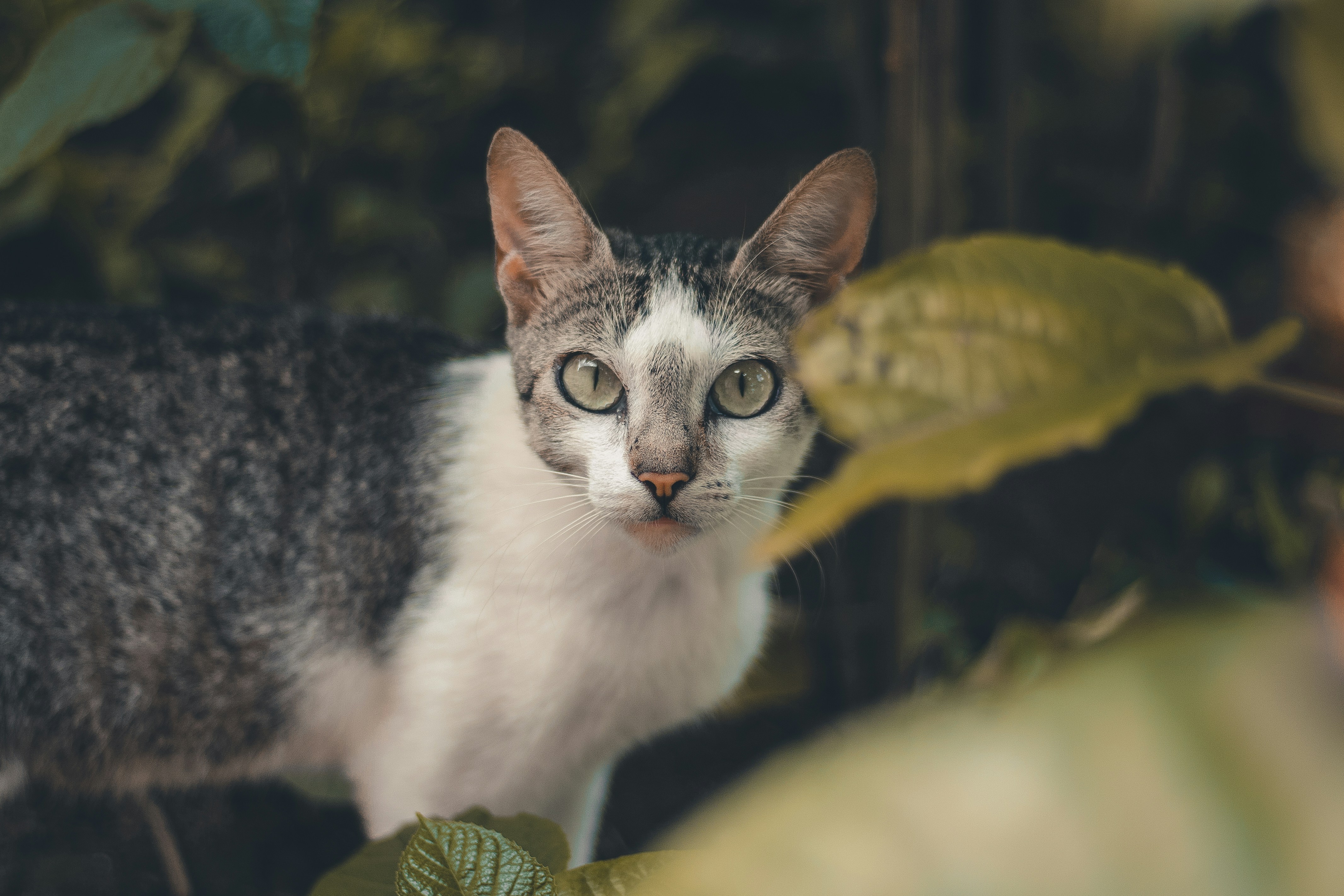 Photo by jonatasdamasceno