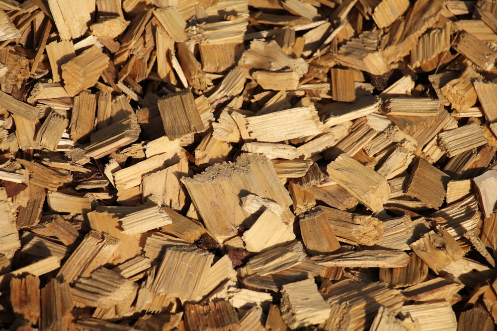 troncos de madera marrón en fotografía de primer plano