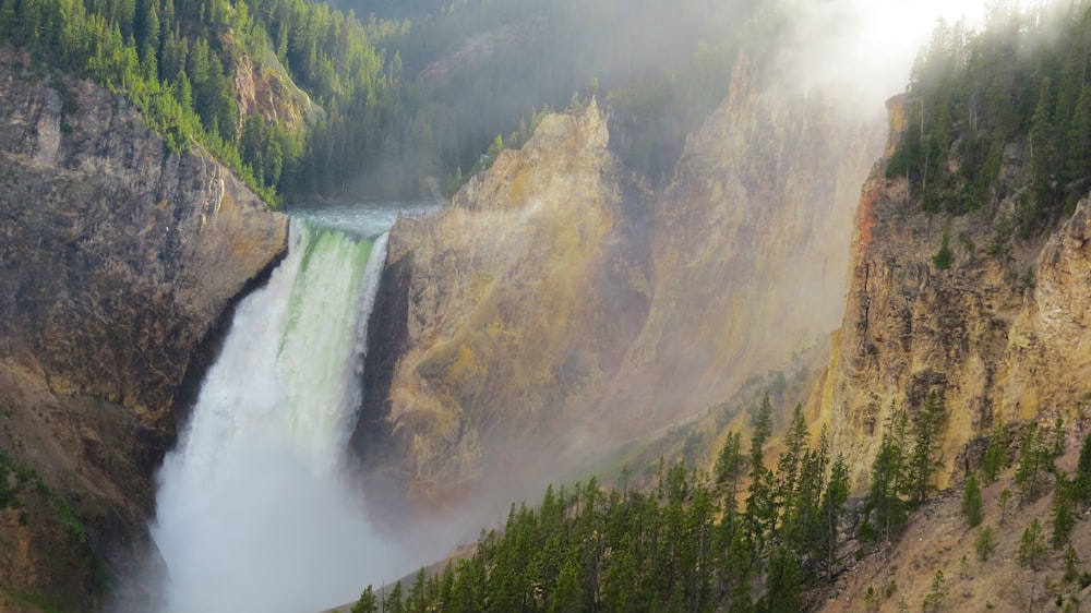 green trees near waterfalls during daytime