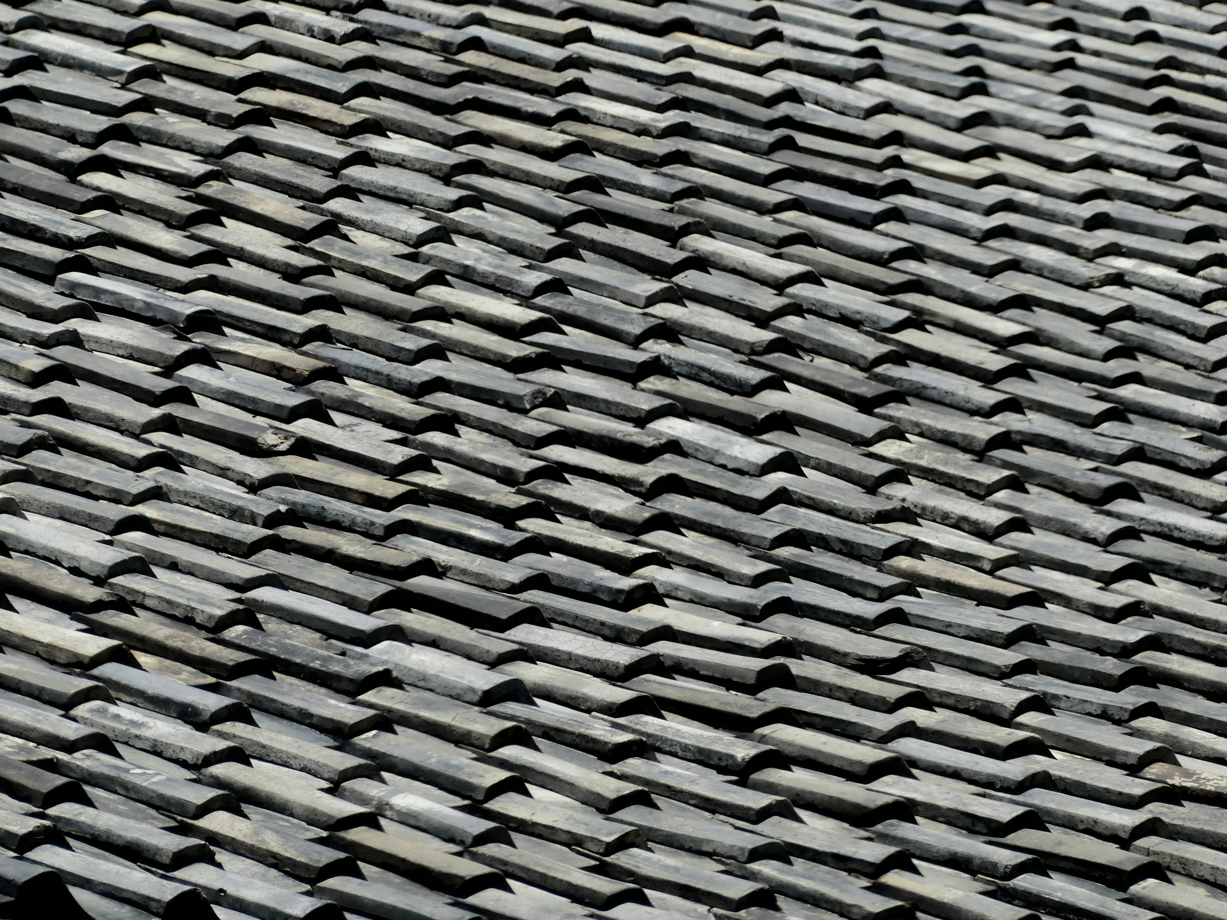 Photo by raelouis_1992