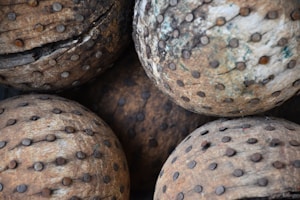Esfera Decorativa