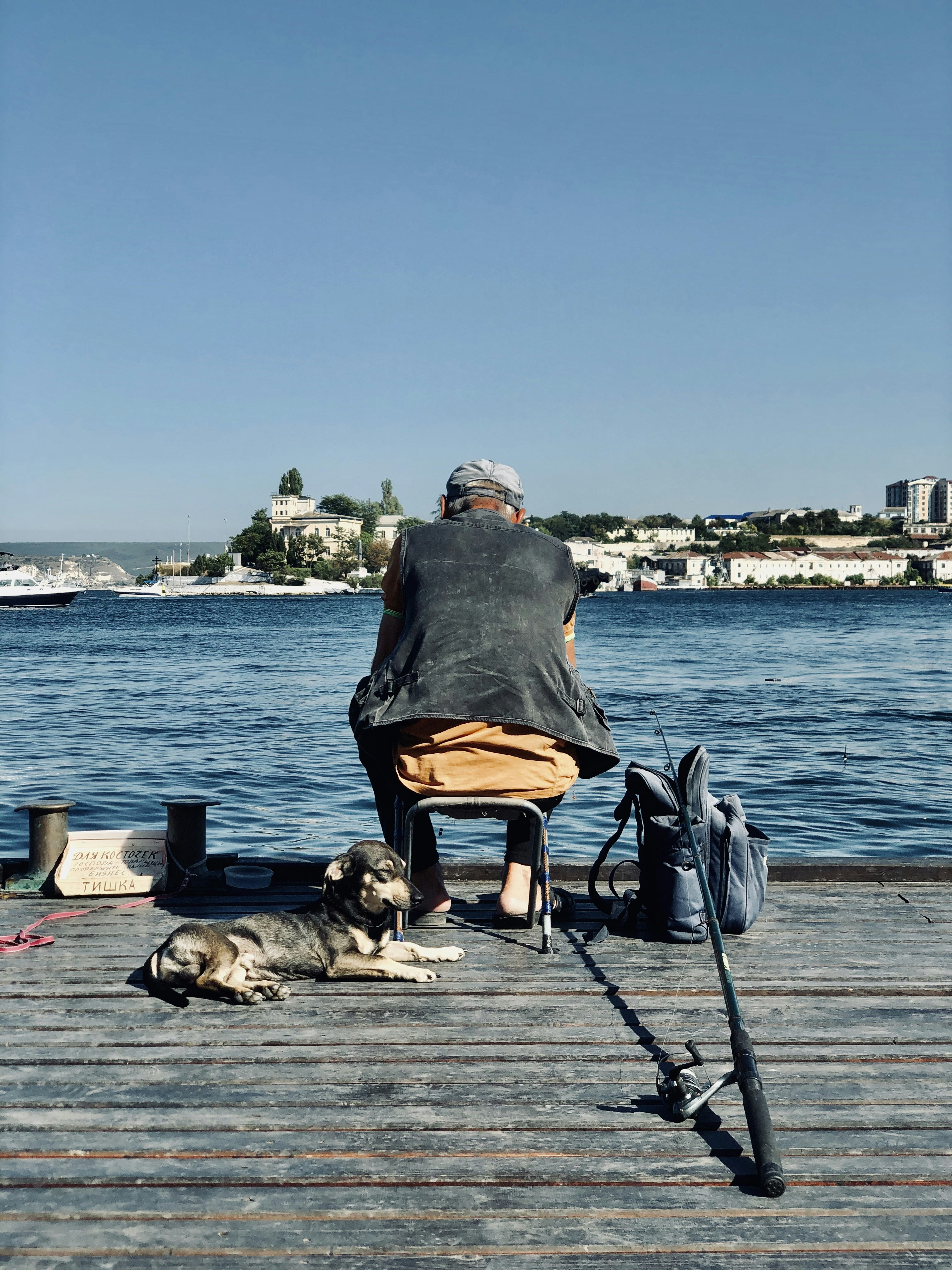 man in gray shirt sitting on orange and black chair beside brown short coated dog on near near near near