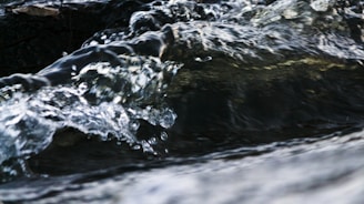 Close-up of flowing water symbolizing natural cycles and renewal.