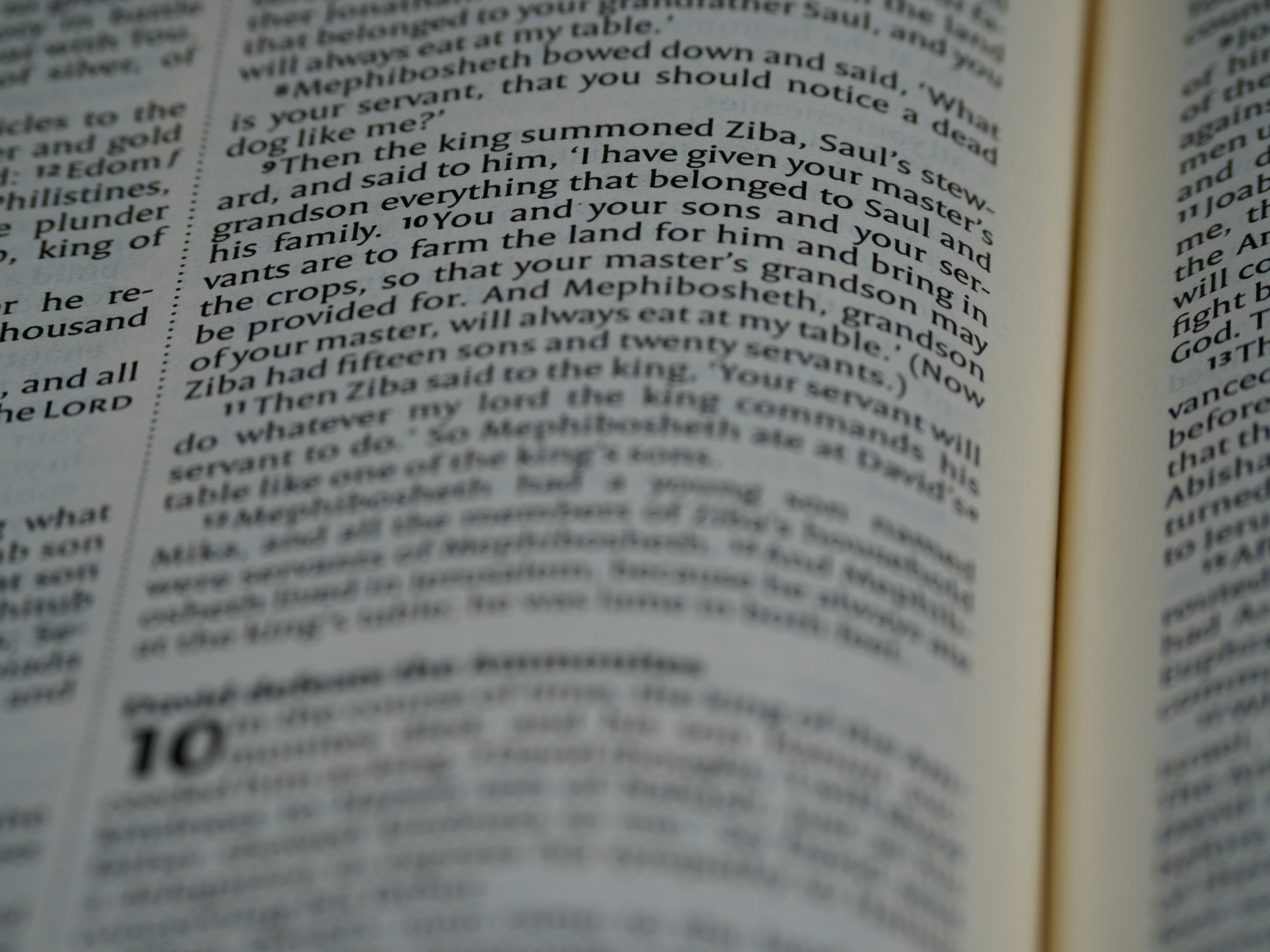 Photo by brett_jordan