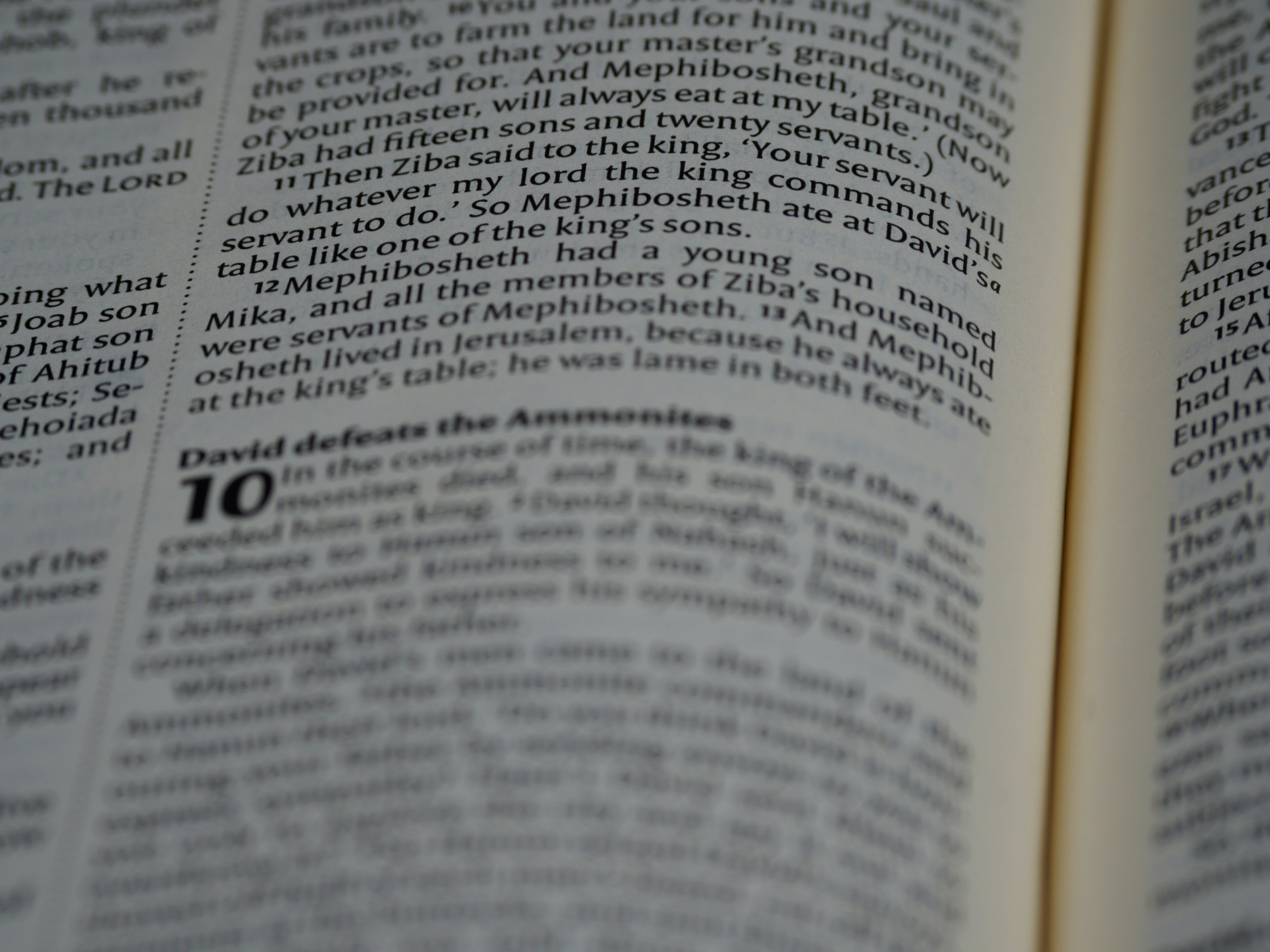 Photo by brett_jordan