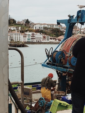 A person wearing a red hat and yellow overalls is working on a fishing boat, surrounded by equipment and colorful crates. The boat is docked near a waterfront, with a scenic view of a coastal town featuring multi-colored buildings and a hillside with trees. Seagulls are flying above the water, and one is perched on the boat's rigging.