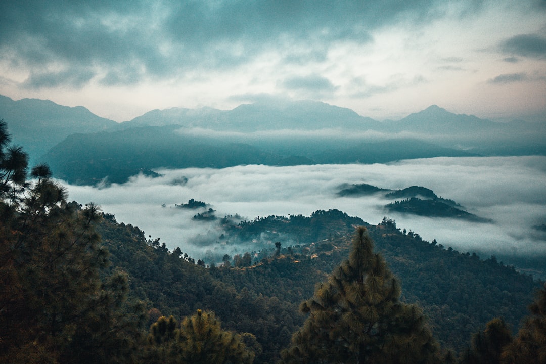 green trees on mountain under white clouds during daytime