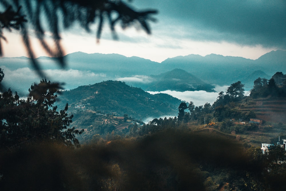 green trees on mountain under cloudy sky during daytime