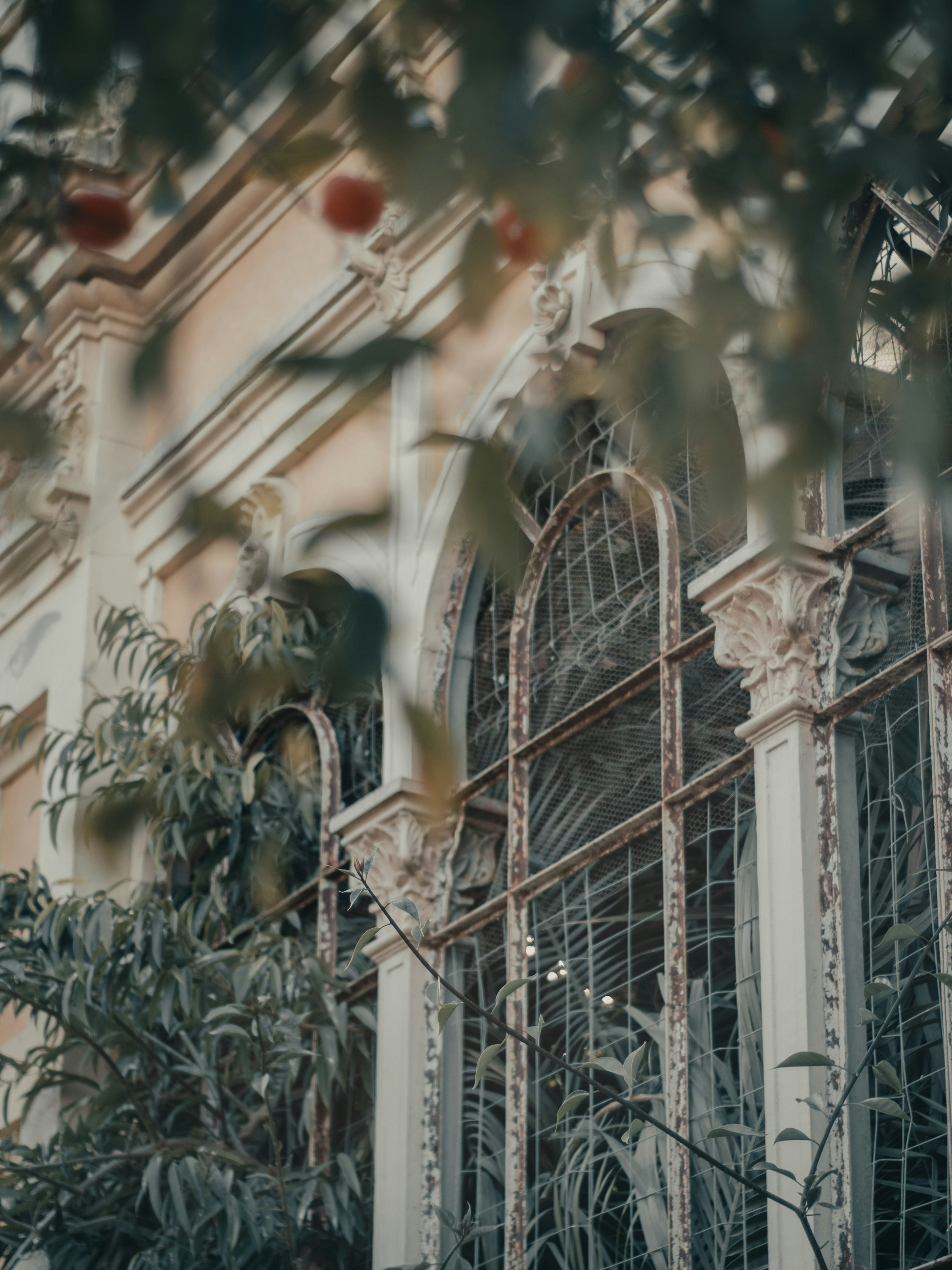 Photo by absolutocaos