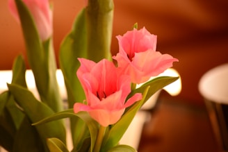 Elegant artificial tulips in soft pastel shades set against a cozy background.