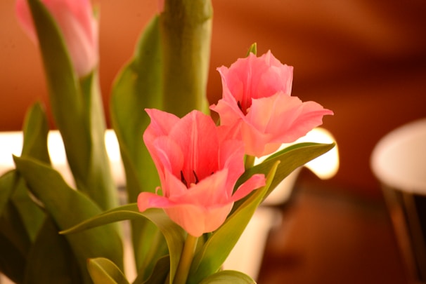Elegant artificial tulips in soft pastel shades set against a cozy background.
