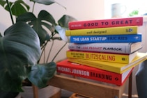 A stack of business and design-themed books placed on a wooden stool next to a large green plant. The titles include 'Good to Great,' 'The Lean Startup,' and 'Blitzscaling.' In the background, there is a soft focus of a mug and some light streaming in, creating a cozy atmosphere.