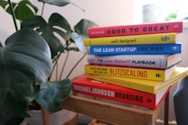 A stack of business and design-themed books placed on a wooden stool next to a large green plant. The titles include 'Good to Great,' 'The Lean Startup,' and 'Blitzscaling.' In the background, there is a soft focus of a mug and some light streaming in, creating a cozy atmosphere.