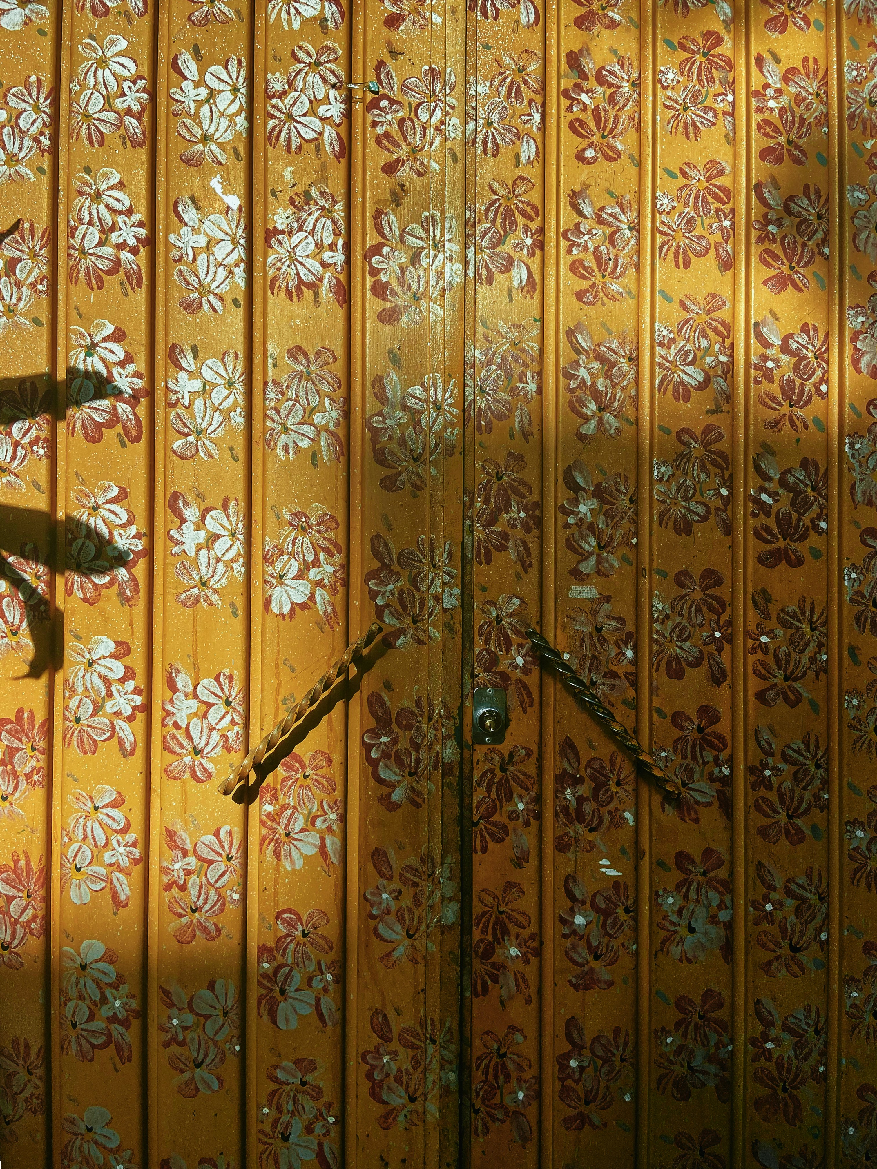 Photo by girlwithredhat