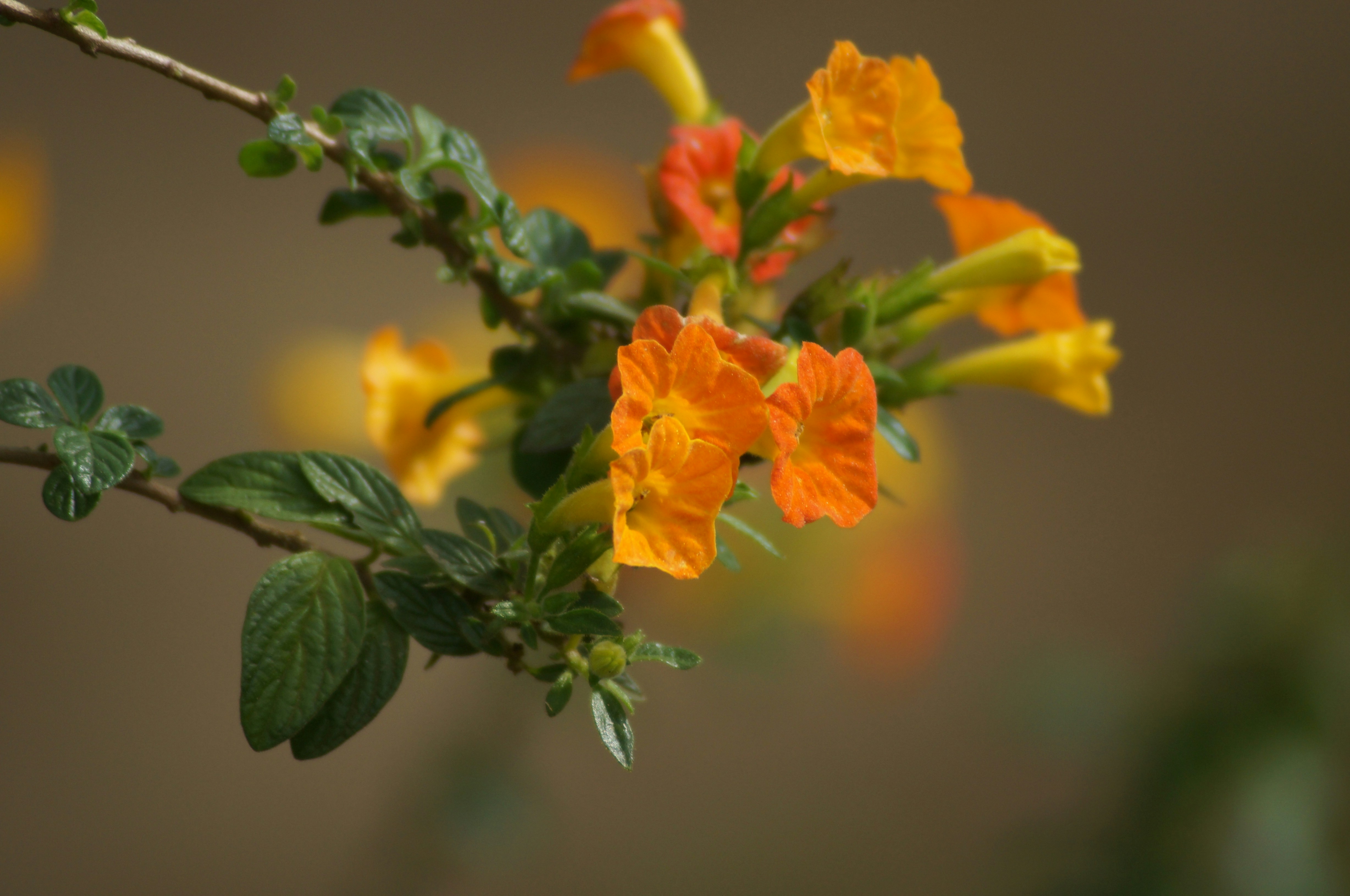 Photo by fredmachado