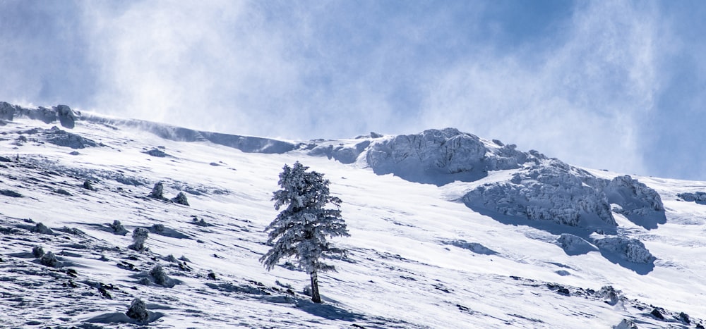 snow covered mountain during daytime