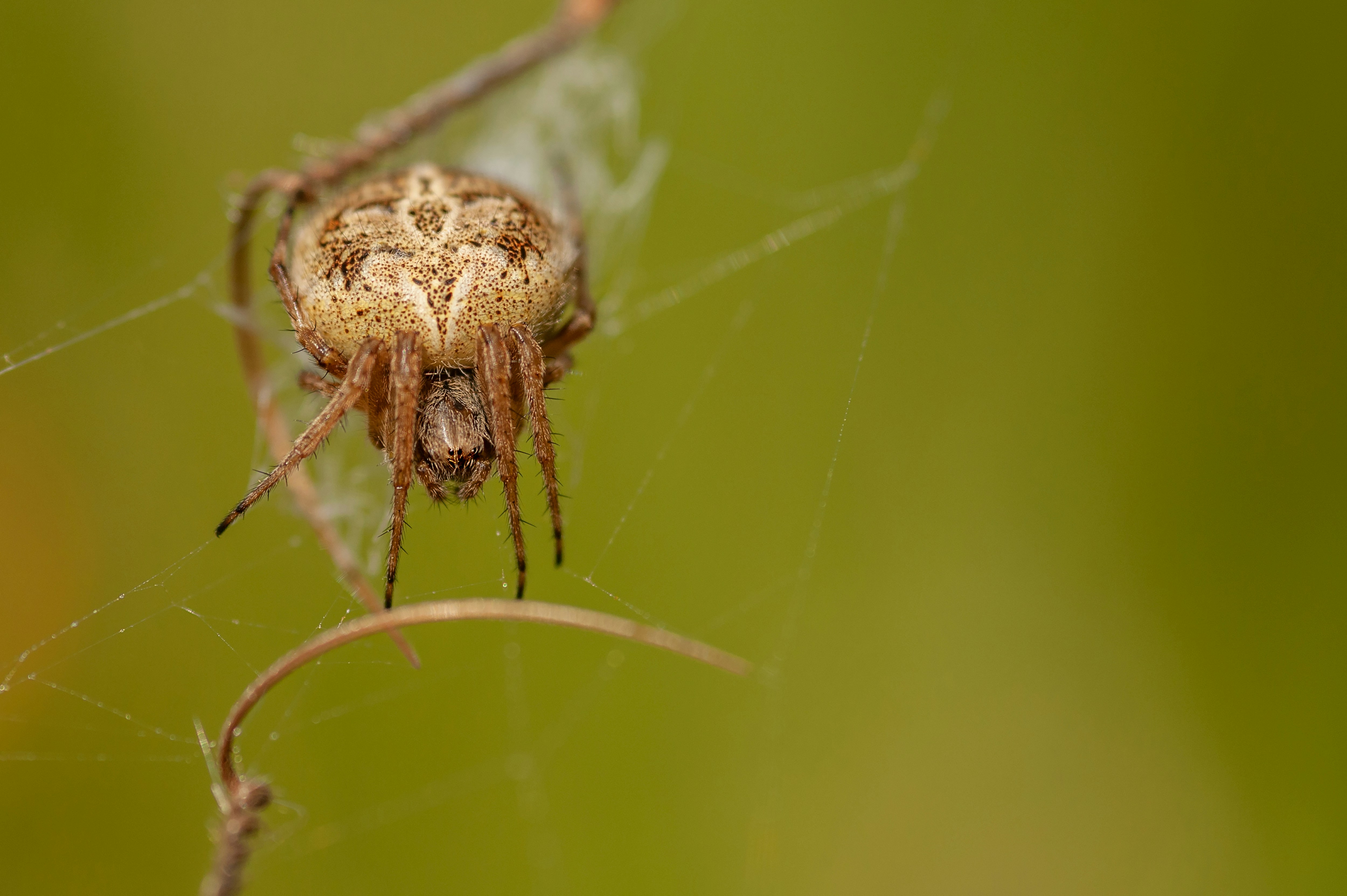 Photo by kristofer2482