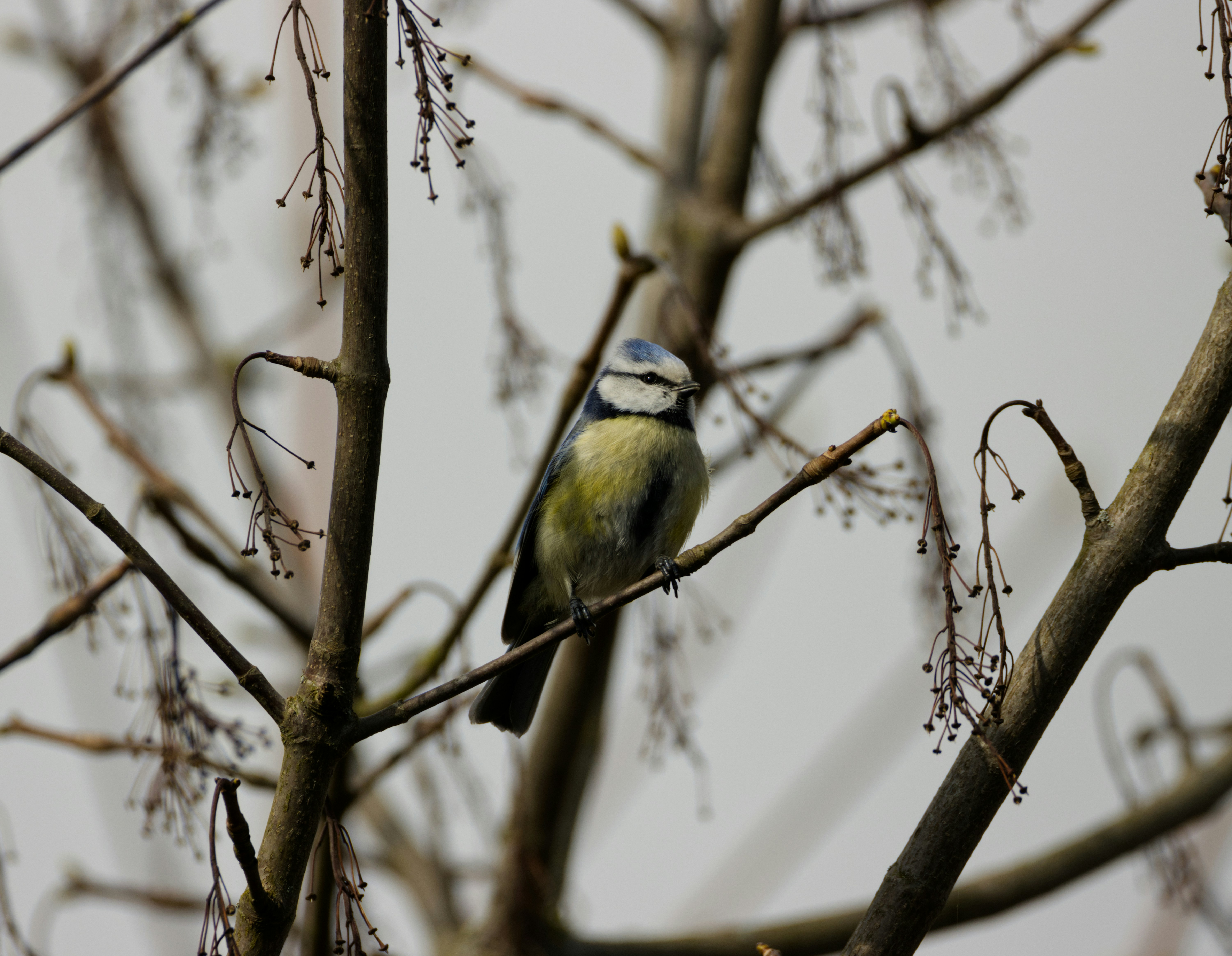 Photo by photasticlab