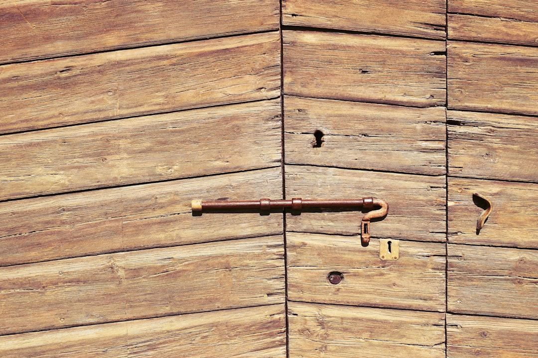 brown wooden door with brass handle