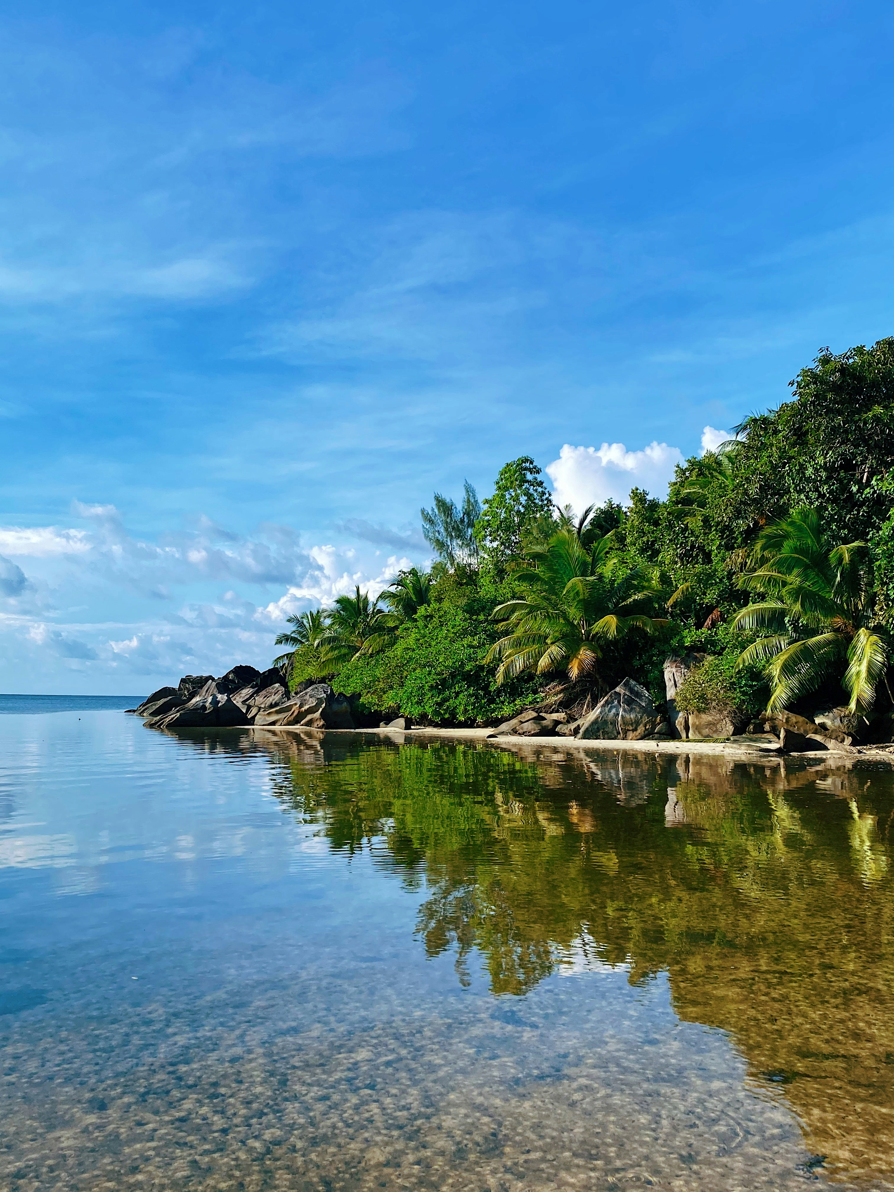 昼間の青い空と白い雲の下の水域の横にある緑の木々の写真 Unsplashで見つけるセイシェルの無料写真