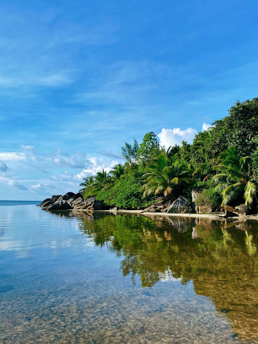 green trees beside body of water under blue sky and white clouds during daytime