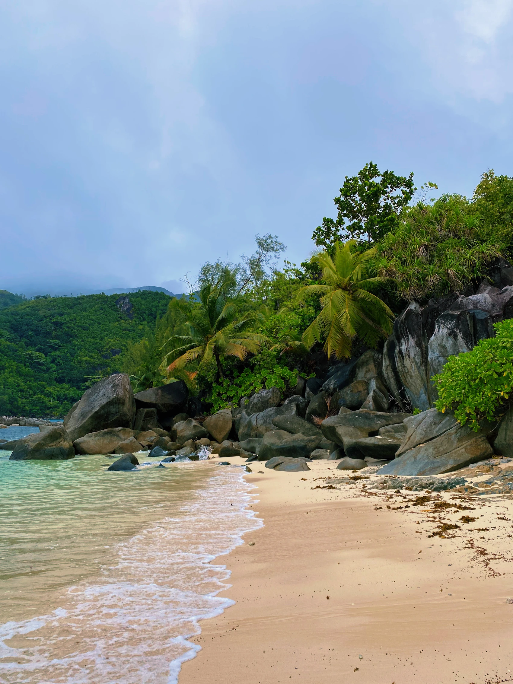 A quiet rocky beach backed by tropical forest on Mahé in the Seychelles