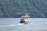 A ferry glides through calm waters, creating waves behind it. The vessel has two decks with seating areas, and is adorned with red trim accents. Dense green hills surround the body of water, with scattered small houses along the hillside.