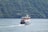 A ferry glides through calm waters, creating waves behind it. The vessel has two decks with seating areas, and is adorned with red trim accents. Dense green hills surround the body of water, with scattered small houses along the hillside.