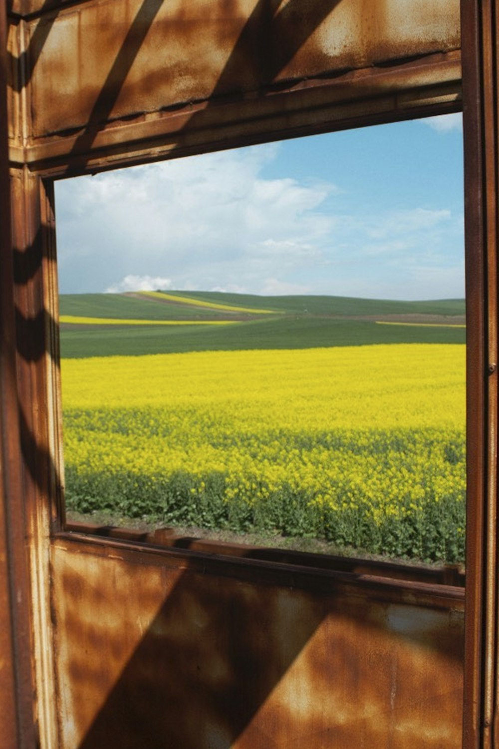 braunes holzgerahmtes grünes Grasfeld unter blauem Himmel tagsüber