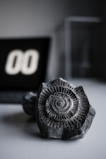 A detailed, close-up view of a dark fossil with intricate spiral patterns, placed on a flat surface. In the blurred background, a digital style display showing the number '00' is partially visible, adding a contrast between the ancient object and a modern element.