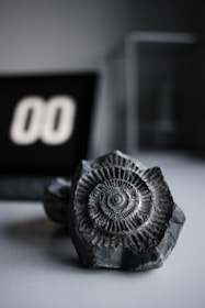 A detailed, close-up view of a dark fossil with intricate spiral patterns, placed on a flat surface. In the blurred background, a digital style display showing the number '00' is partially visible, adding a contrast between the ancient object and a modern element.