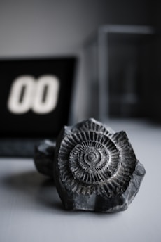 A detailed, close-up view of a dark fossil with intricate spiral patterns, placed on a flat surface. In the blurred background, a digital style display showing the number '00' is partially visible, adding a contrast between the ancient object and a modern element.