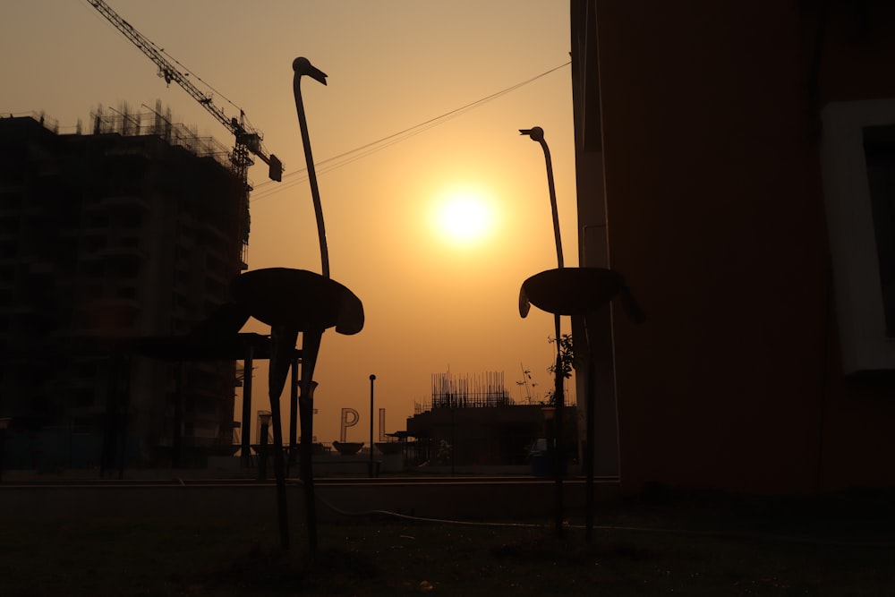 silhouette of street lamp during sunset