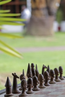 A row of intricately carved wooden chess pieces on a chessboard. The pieces resemble various abstract and animal forms, placed in an outdoor setting with greenery and blurred background elements.