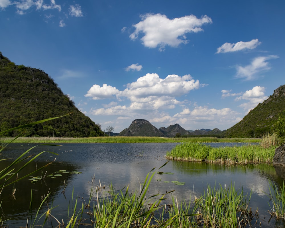 green grass field near lake under blue sky and white clouds during daytime