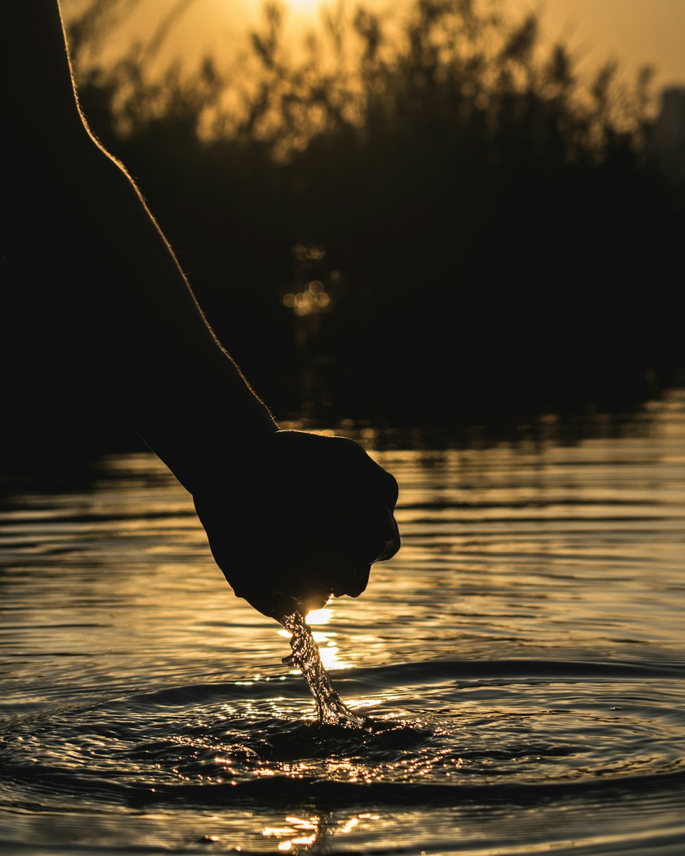 silhouette of bird on persons body on water during sunset