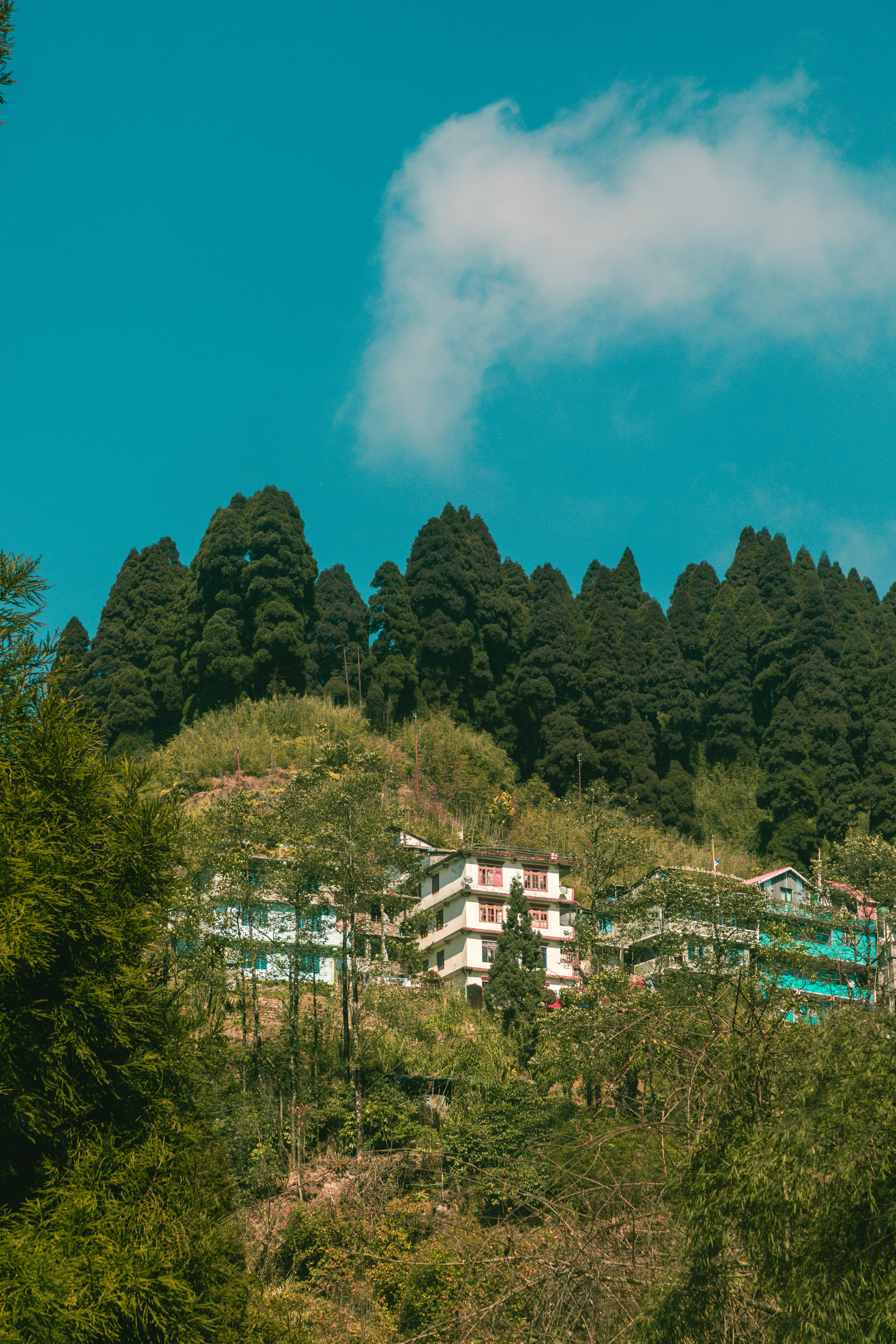 Photo by daniel_dara