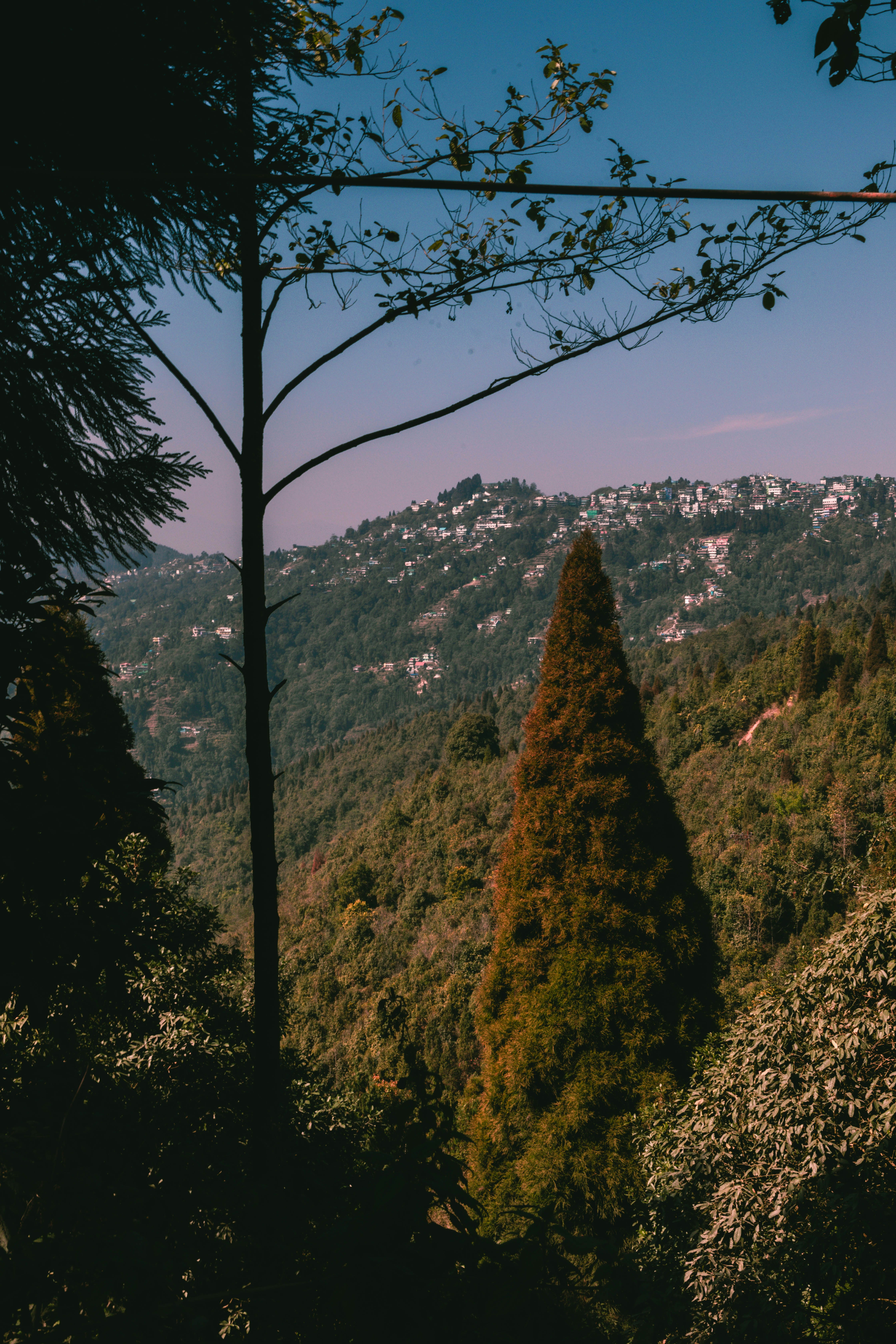 Photo by daniel_dara