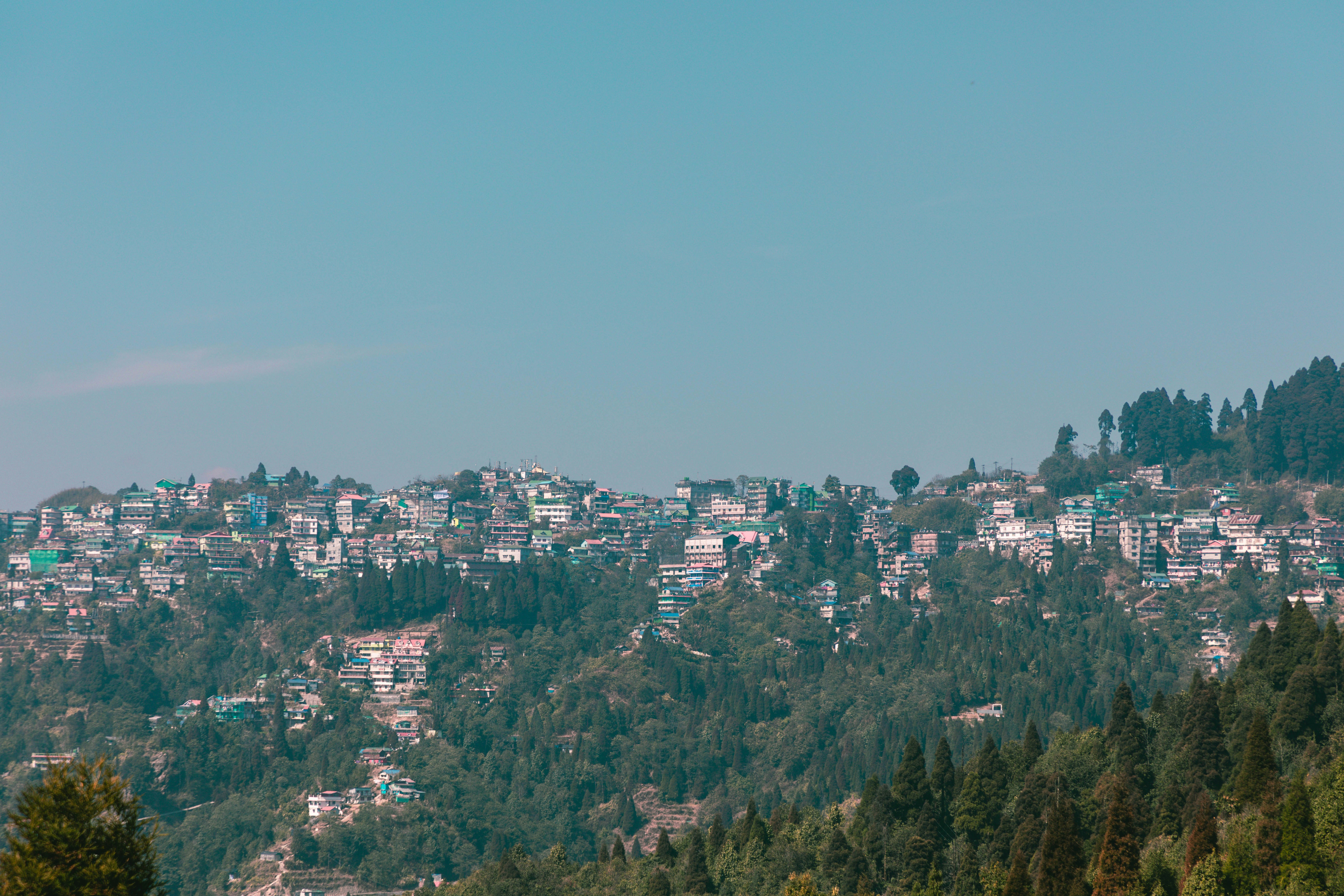 Photo by daniel_dara