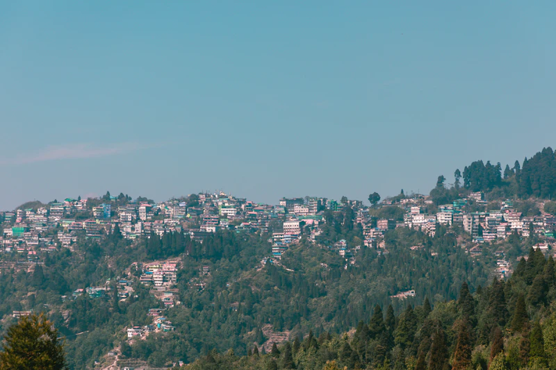 Best Hidden Speakeasies in Darjeeling You Need a Tip to Find
