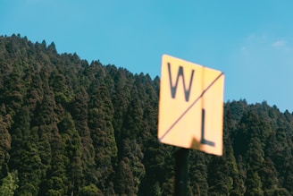 A blurred yellow sign with black letters 'W' and 'L' divided by a diagonal line stands in the foreground against a clear blue sky. Behind the sign, a dense forest with tall, dark green trees stretches across the scene, suggesting a hillside or mountain landscape.