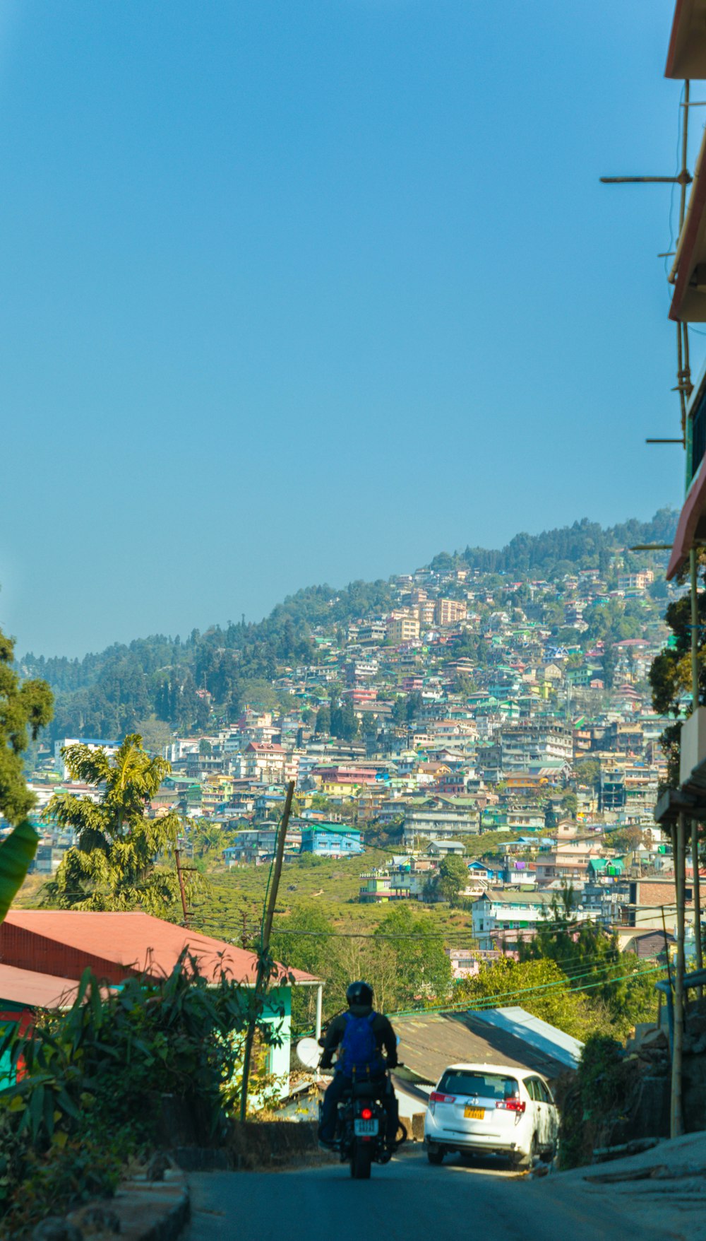 green trees and houses under blue sky during daytime