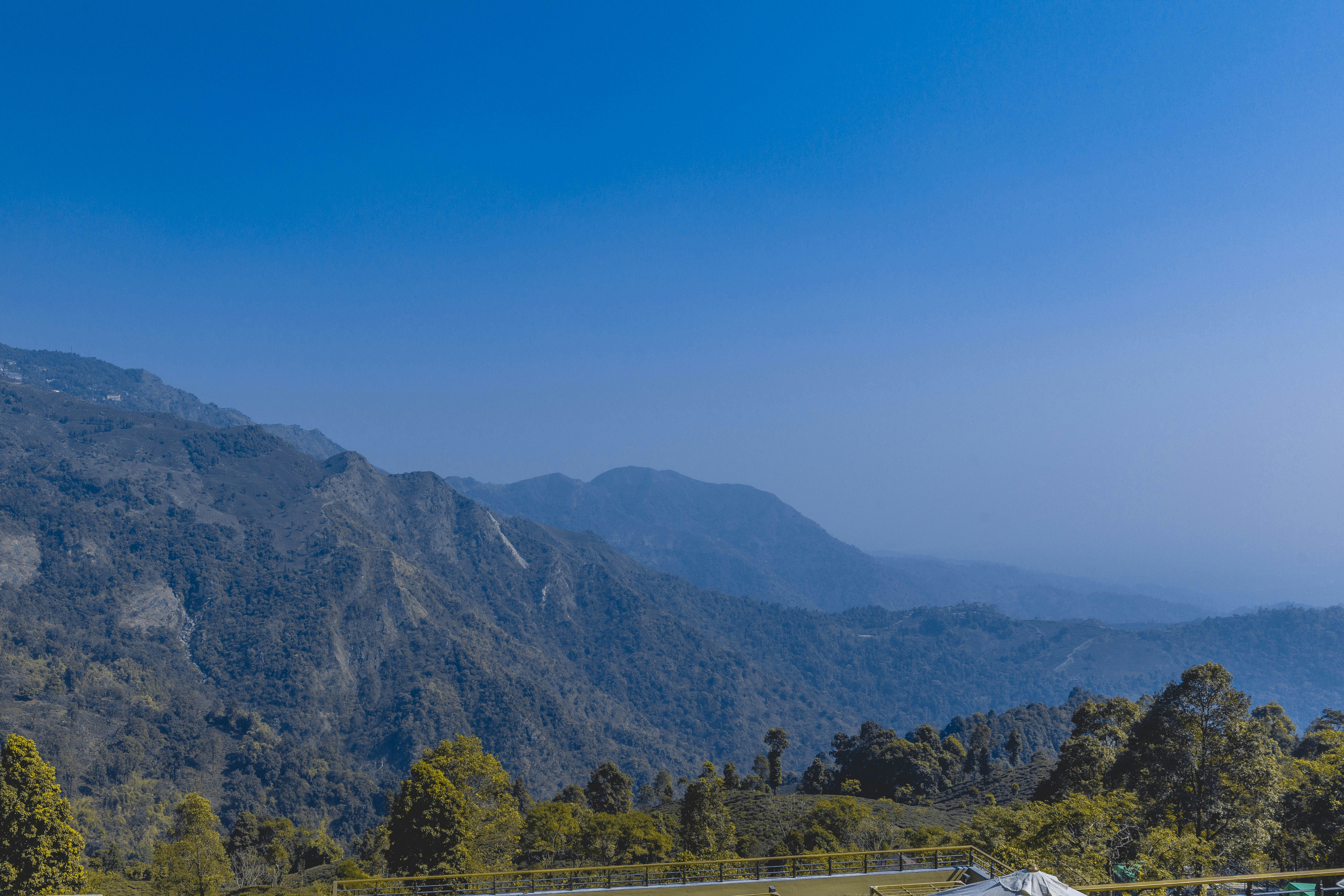 Pepohonan hijau di gunung di bawah langit biru pada siang hari