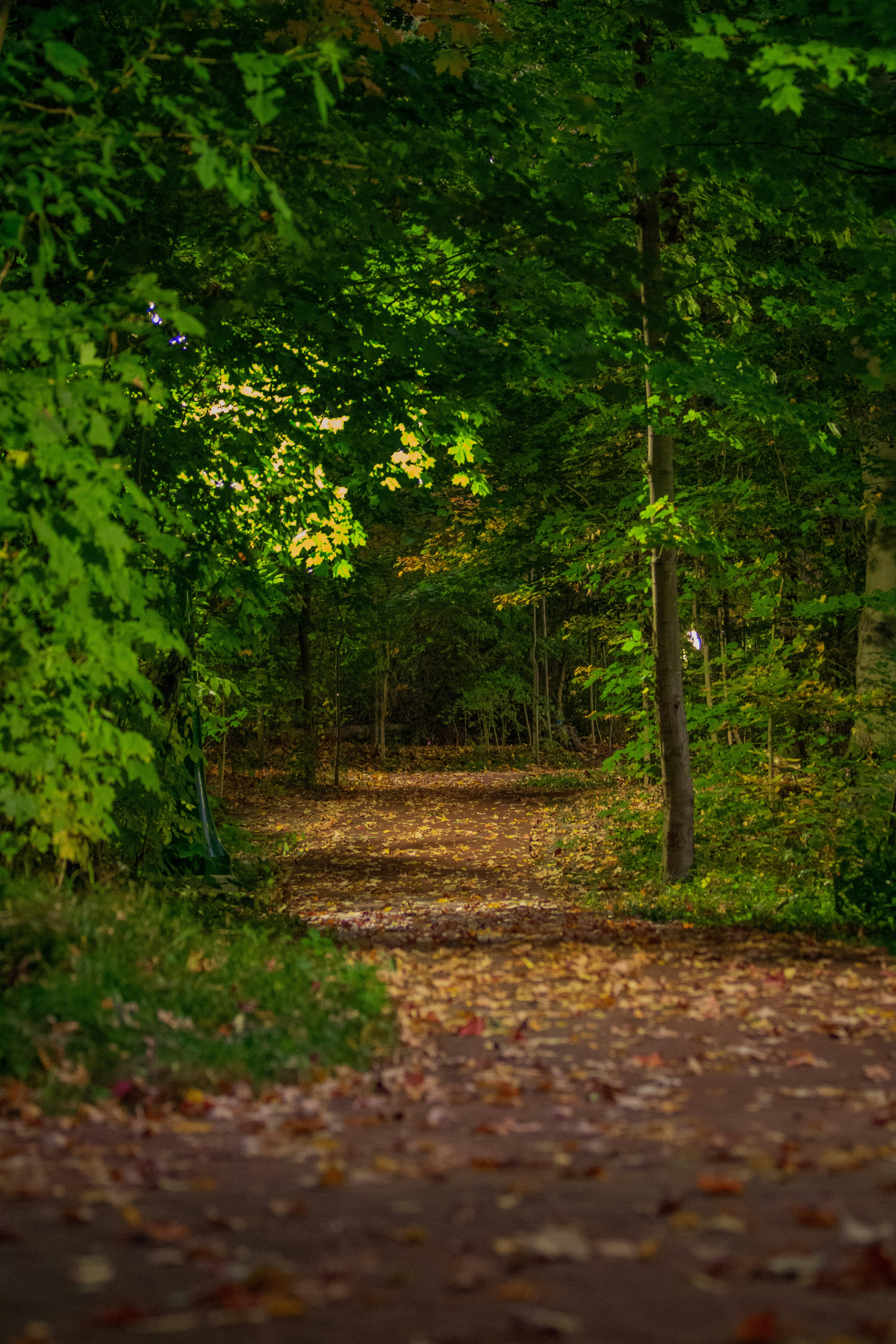 Photo by lucasbeckphotography