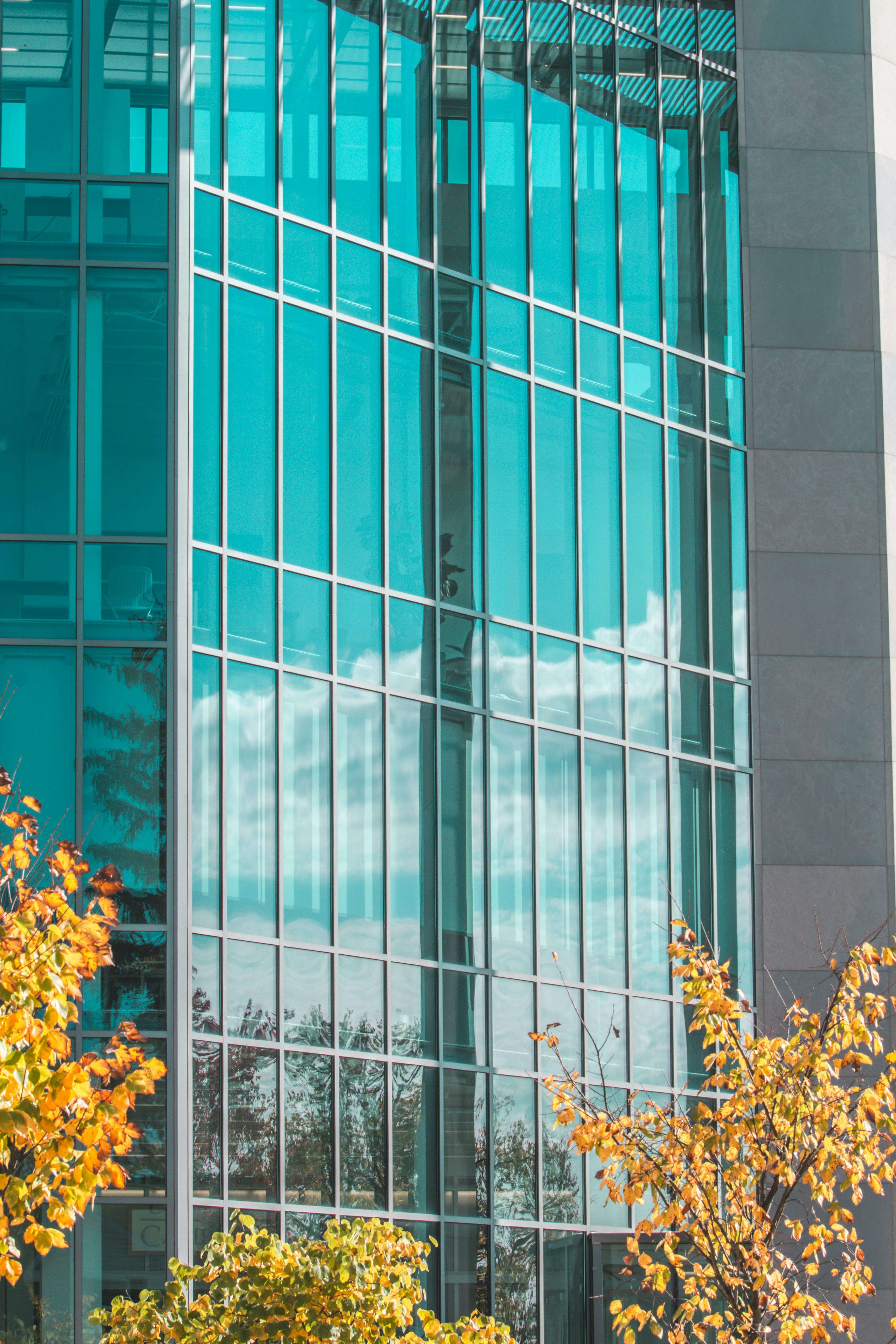 Photo by lucasbeckphotography